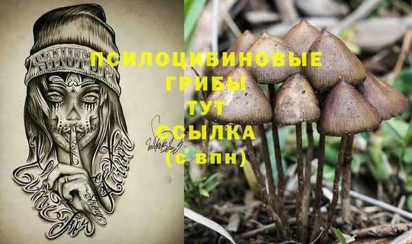 синтетический гашиш Балахна